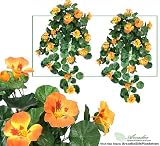 TWO 30" Artificial Nasturtium Hanging Flower Bushes