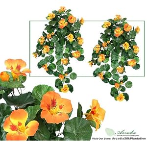 flower, flower pot, artificial flower, nasturtium hanging flower, daisy flower, silk flower, artificial silk flower, flower holder, flower with holder, beautiful flowers, good looking flower