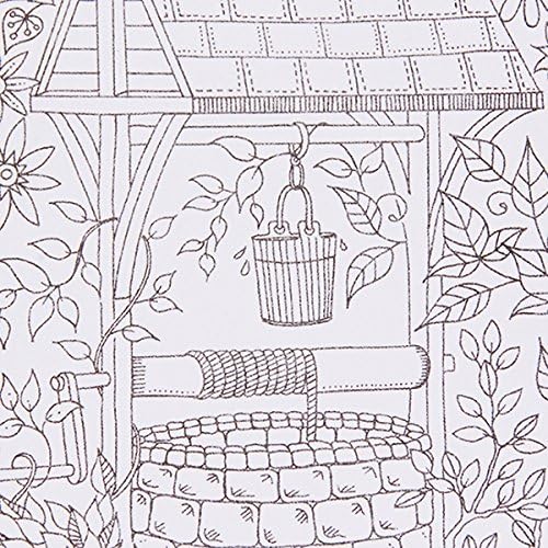 Secret Garden: An Inky Treasure Hunt and Coloring Book 24 Page Drawings