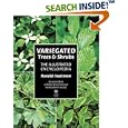 Variegated Trees and Shrubs: The Illustrated Encyclopedia by Ronald Houtman and Royal Boskoop Horticultural Society Staff