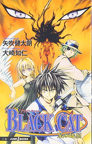 BLACK CAT 星の残照 (JUMP j BOOKS)