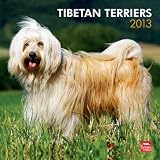 Tibetan Terriers 2013 Calendar