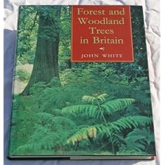 Forest and Woodland Trees in Britain