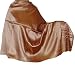 Silk Shawl Scarf Wrap Paisley Outerwear 36 x 72 inches (bssl080)