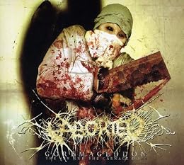 Aborted Picture 5