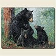 Black Bear Family 8" By 10" Small Tempered Glass Cutting Board
