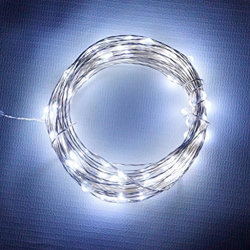 LIEYANG USB DC 5V 33FT/10M 100 LED Fairy String Copper Wire Light
