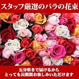 スタッフ厳選臀分咲き縺60本のバ繝