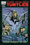 Teenage Mutant Ninja Turtles Vol 5 #1 Global Con Variant Cover