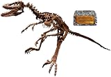 Action Products Wall Wrap - Deinonychus
