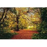 Buy Brewster 4-068 Autumn Forest 4 Panel Mural with Paste, 8-Foot 10-Inch by 6-Foot... by Brewster