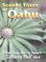 Scenic Tours Of Oahu