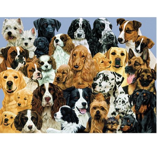 61zJof0WBLL Ravensburger Mothers Pride Jigsaw Puzzle, 100 Piece
