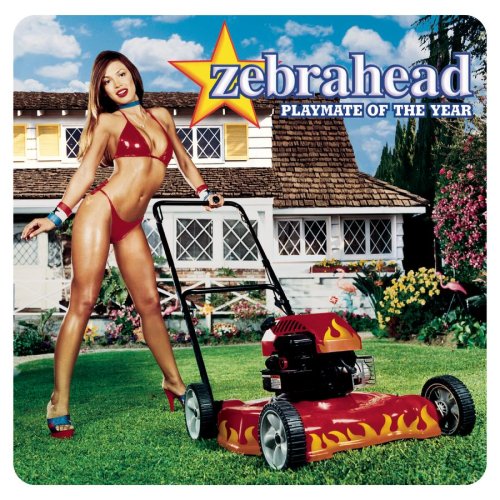 CD-Charts  Music : Playmate of the Year