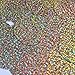 Sequin Round 70mm No hole Gold Hologram Glitter Sparkle Metallic. Made in USA