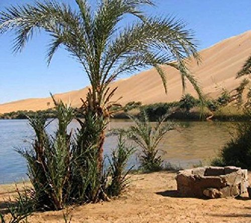 Islands of the Blessed (Digging up the Ancient Past Book 3)