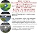 dandruff7  - The Gurus Marketing Godfather Principles and Accounting Finance