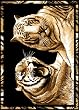 Animal Area Rug, Home Dynamix Zone Tiger
