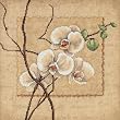 Dimensions Oriental Orchids Counted Cross Stitch Kit