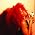 Thumbnail image of Rihanna