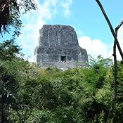 Guatemala's Tikal National Park - Animals and Plants: Audio Journeys | [Patricia L. Lawrence]