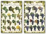 Red-White Wine Grapes Set by Scott Vlaun 24x36 Art Print Poster