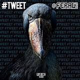 #Tweet