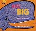 Books : Big Is Big (and little, little): A Book of Contrasts