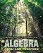Algebra: Form and Function