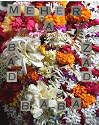 Meherabad And Meherazad Photo Book