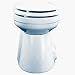 Raritan Crown Head II Hi-Boy - White, Household Style - 90° Discharge - Freshwater So...