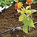 Gardena 1343/8343-U Inline Drip Head 2l for Micro Drip System