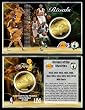 2008 NBA Finals Rivals Coin Card