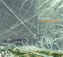 Secrets of the Lost Satellite (Dig)