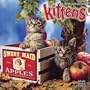 Kittens 2008 Wall Calendar (English, Spanish, French, Italian and German Edition)