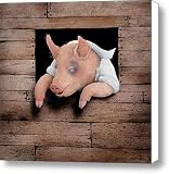 A Pig and a Poke... Canvas Print / Canvas Art - Artist Will Bullas