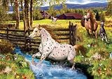 My Appaloosa 35pc Jigsaw Puzzle + Horse Toy