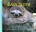 Baby Sloth