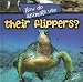 Search : How Do Animals Use Their Flippers? (How Do Animals Use…)