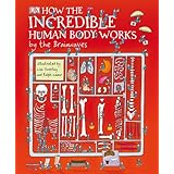 how the incredible human body works    by the brainwaves