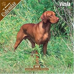 Vizsla 2008 Wall Calendar