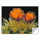 ArtWall Artapeelz Dean Uhlinger 'Primavera Del Desierto' Removable Graphic Wall Art, 36 by 48-Inch