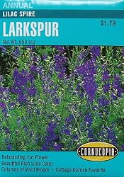 Larkspur Lilac Spire Seeds 175 Seeds