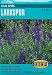 Larkspur Lilac Spire Seeds 175 Seeds