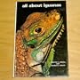 All About Iguanas