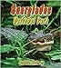 Everglades National Park (Introducing Habitats)