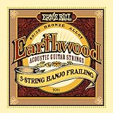 Ernie Ball Earthwood 5-string Banjo 80/20 Bronze Loop End Frailing Set, .010 - .024