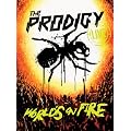 Live - the World's on Fire (Ltd. Edt.Dvd+CD)