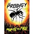 Live - the World's on Fire (Ltd. Edt.Dvd+CD)