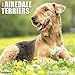 2016 Just Airedale Terriers Wall Calendar